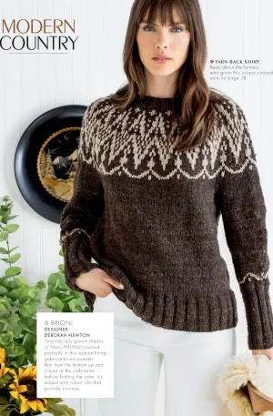 BRIONI SWEATER KIT - NORO