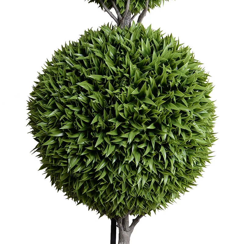 Broadleaf Podocarpus Ball Double Topiary 72"H