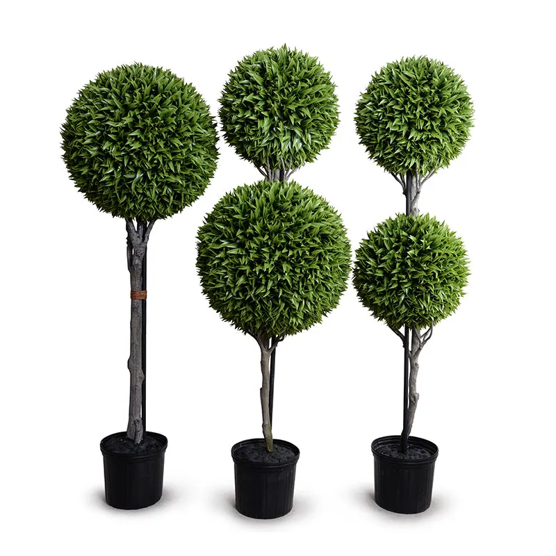 Broadleaf Podocarpus Ball Double Topiary 72"H