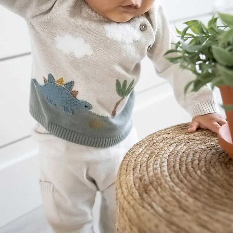 Dino Applique Sweater