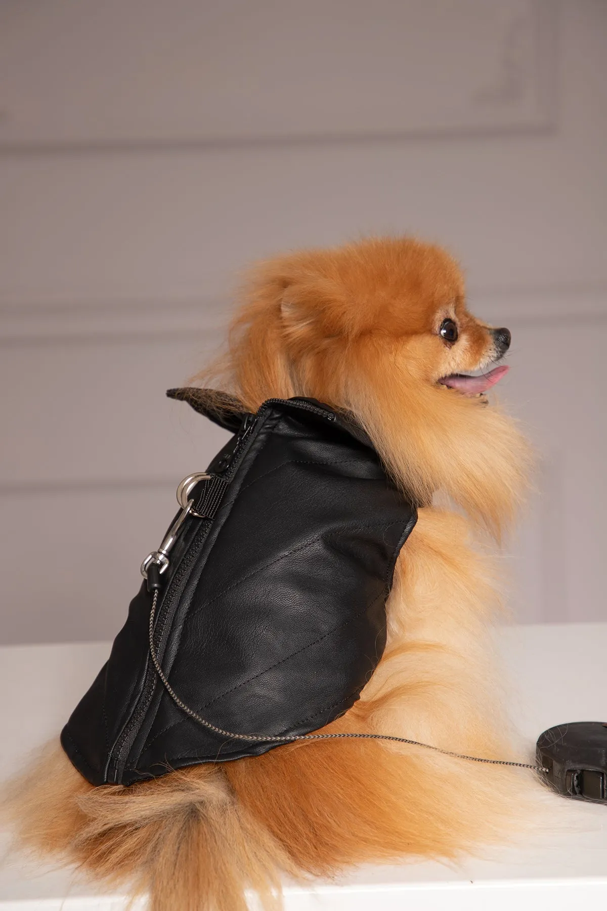 ECO LEATHER DOG VEST