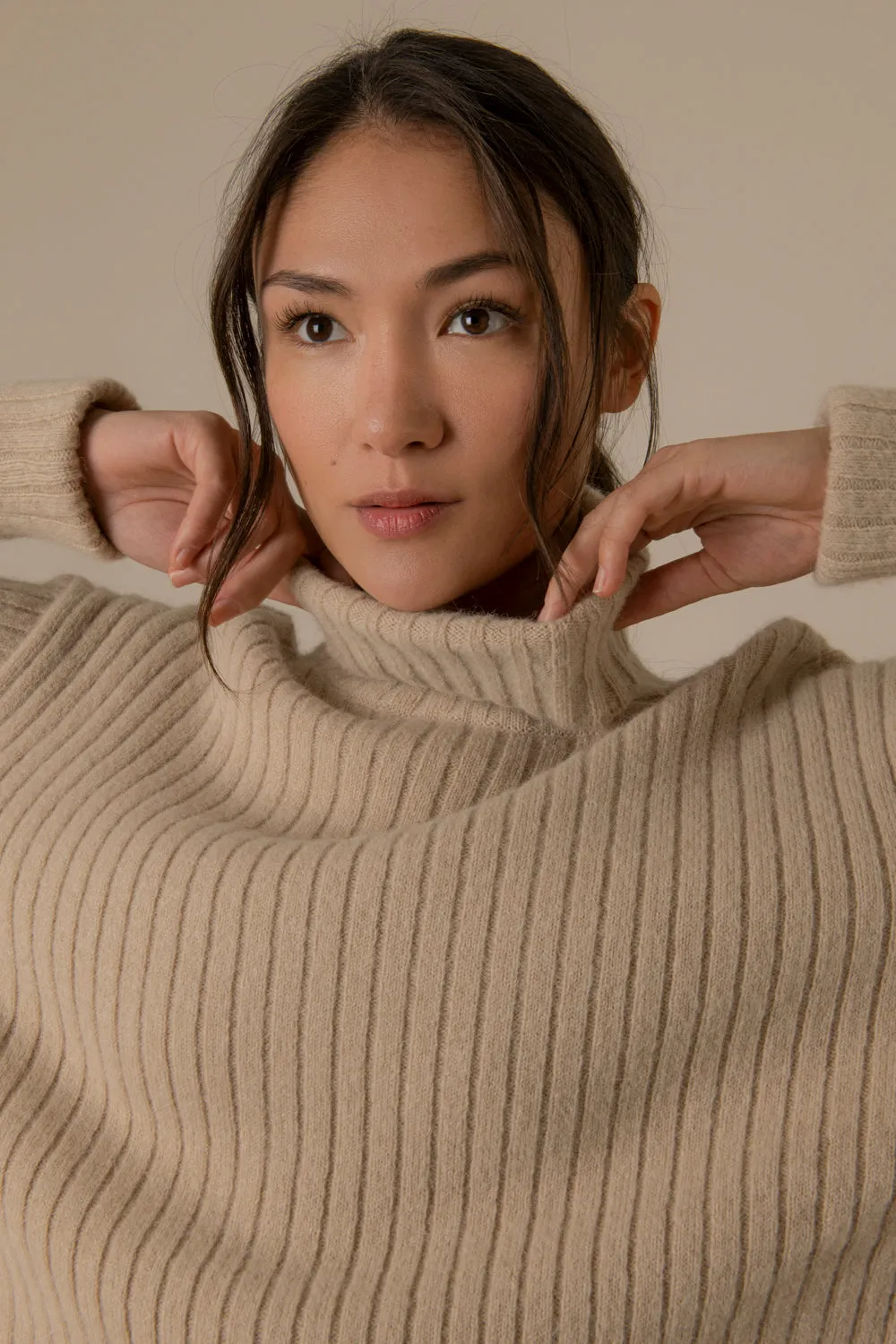 Sam Alpaca Blend Rollneck Sweater